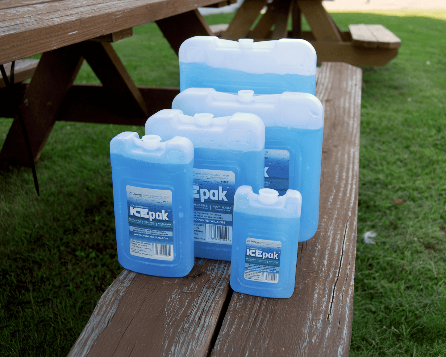 Cryopak IcePak Hard Gel Pack - XL-L-M-S-Lunch-1Pack-2 Pack-4 Pack